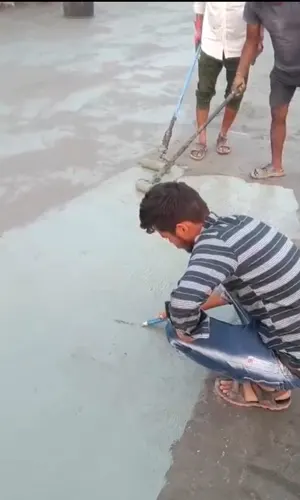 Apex Building & Interior Design